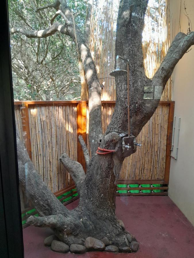 Kosi Bay Casitas Villa Manguzi Eksteriør bilde