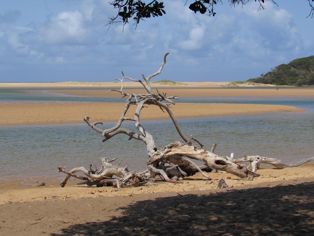 Kosi Bay Casitas Villa Manguzi Eksteriør bilde